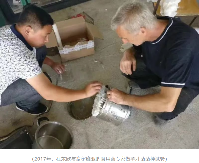 &#24320;&#20113;&#32593;&#39029;&#29256;