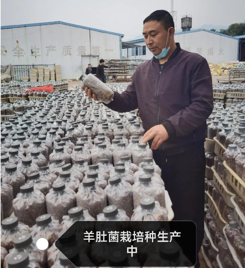 &#24320;&#20113;&#32593;&#39029;&#29256;